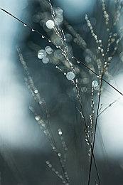 你真没见过黑手党嗷！游戏七日薄：《四海兄弟：故乡》领衔